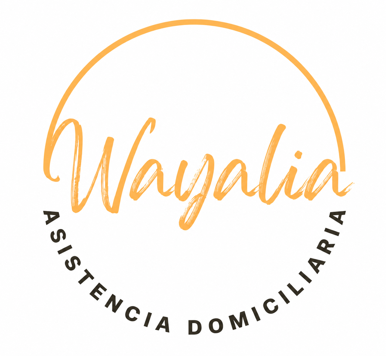 My Site WordPress